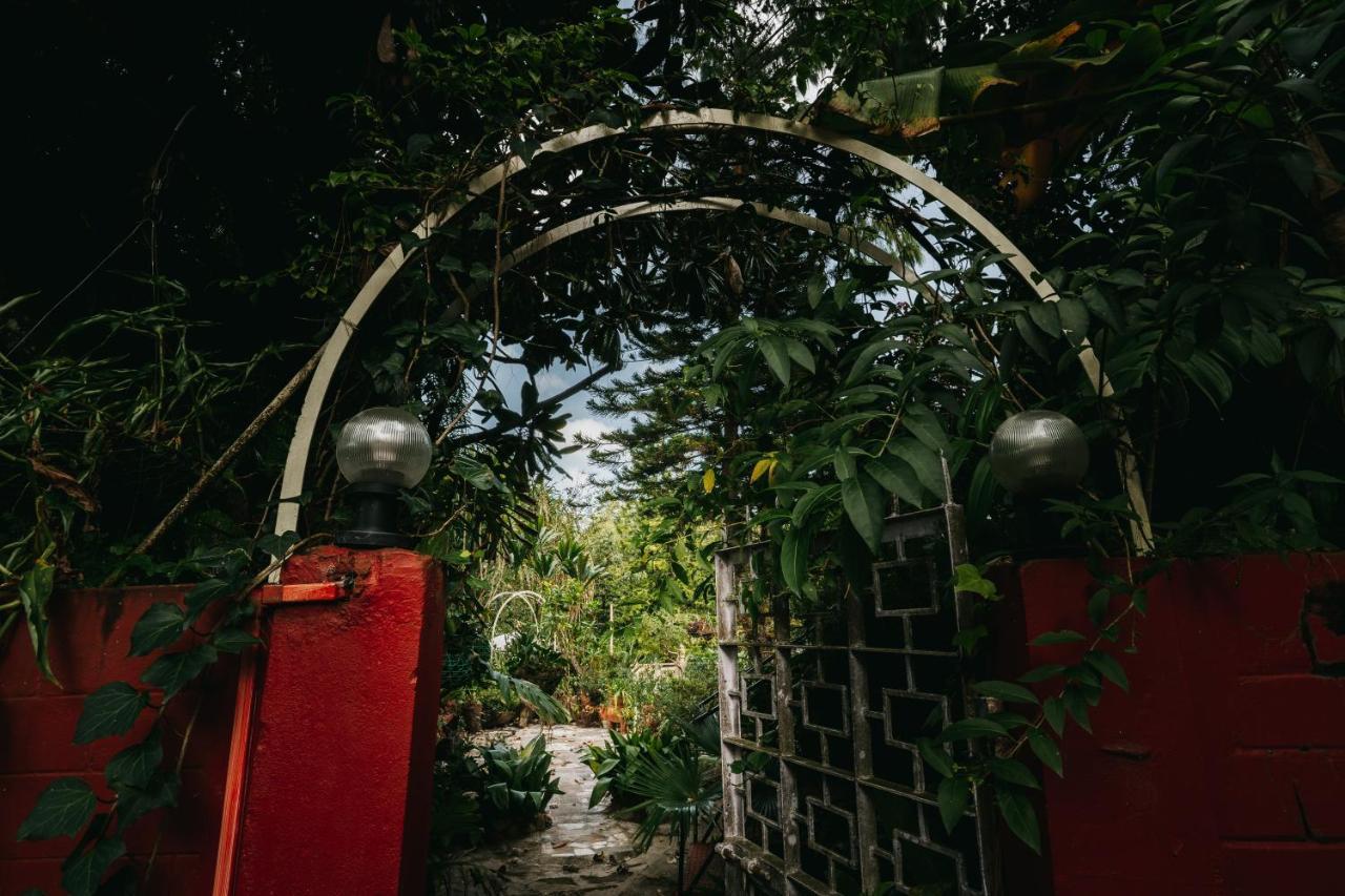 Rock Cliff Home Stay Σιλόνγκ Εξωτερικό φωτογραφία