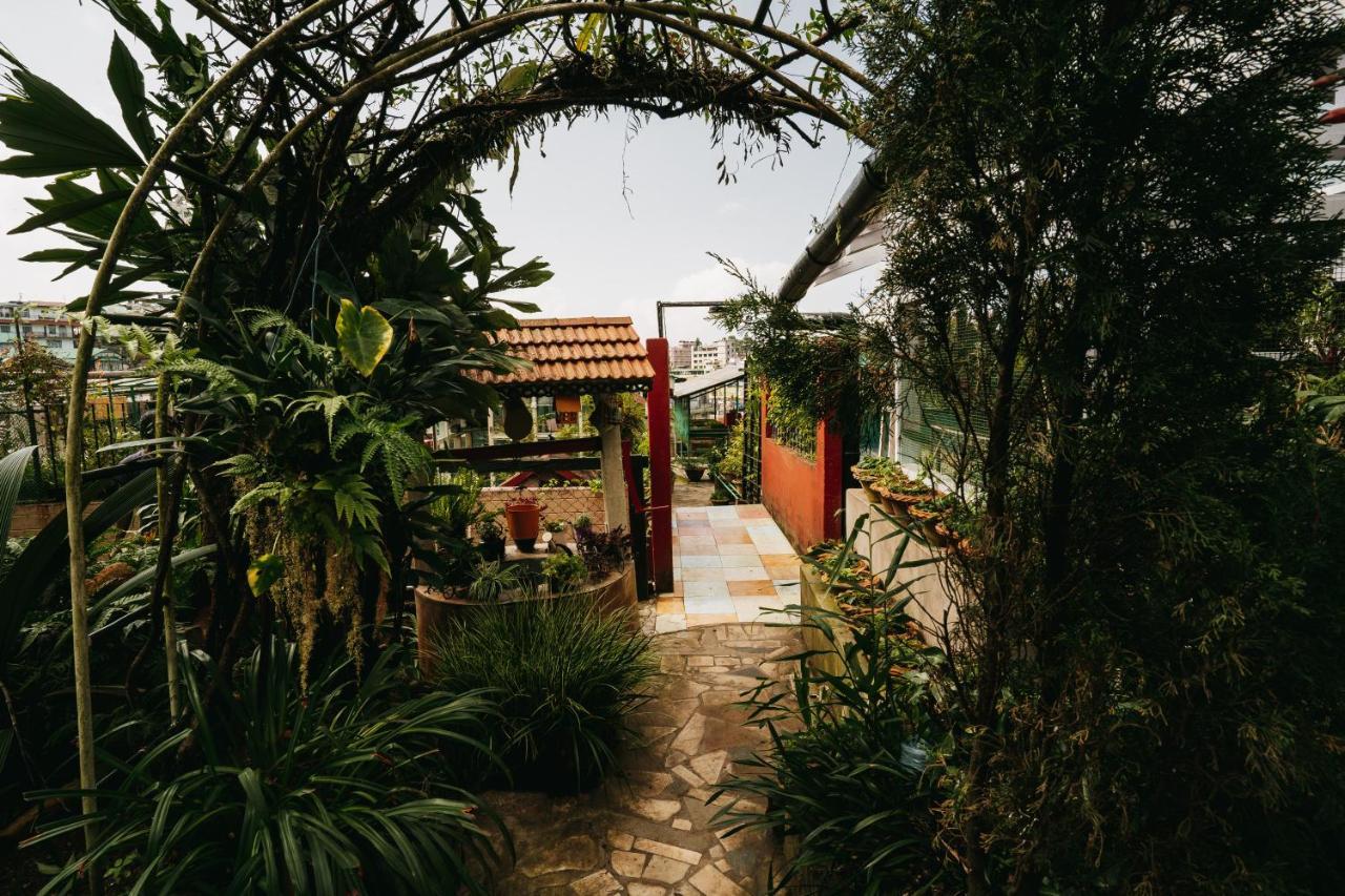 Rock Cliff Home Stay Σιλόνγκ Εξωτερικό φωτογραφία